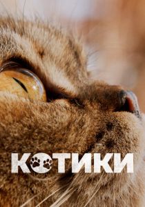 Котики (Фильм 2022)