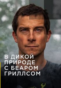 В дикой природе с Беаром Гриллсом (Сериал 2014)